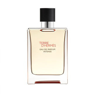 Hermes Hermes Pfm Terred'hermes2025 Edp100ml