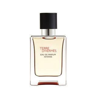 Hermes Hermes Pfm Terred'hermes 2025 Edp50ml