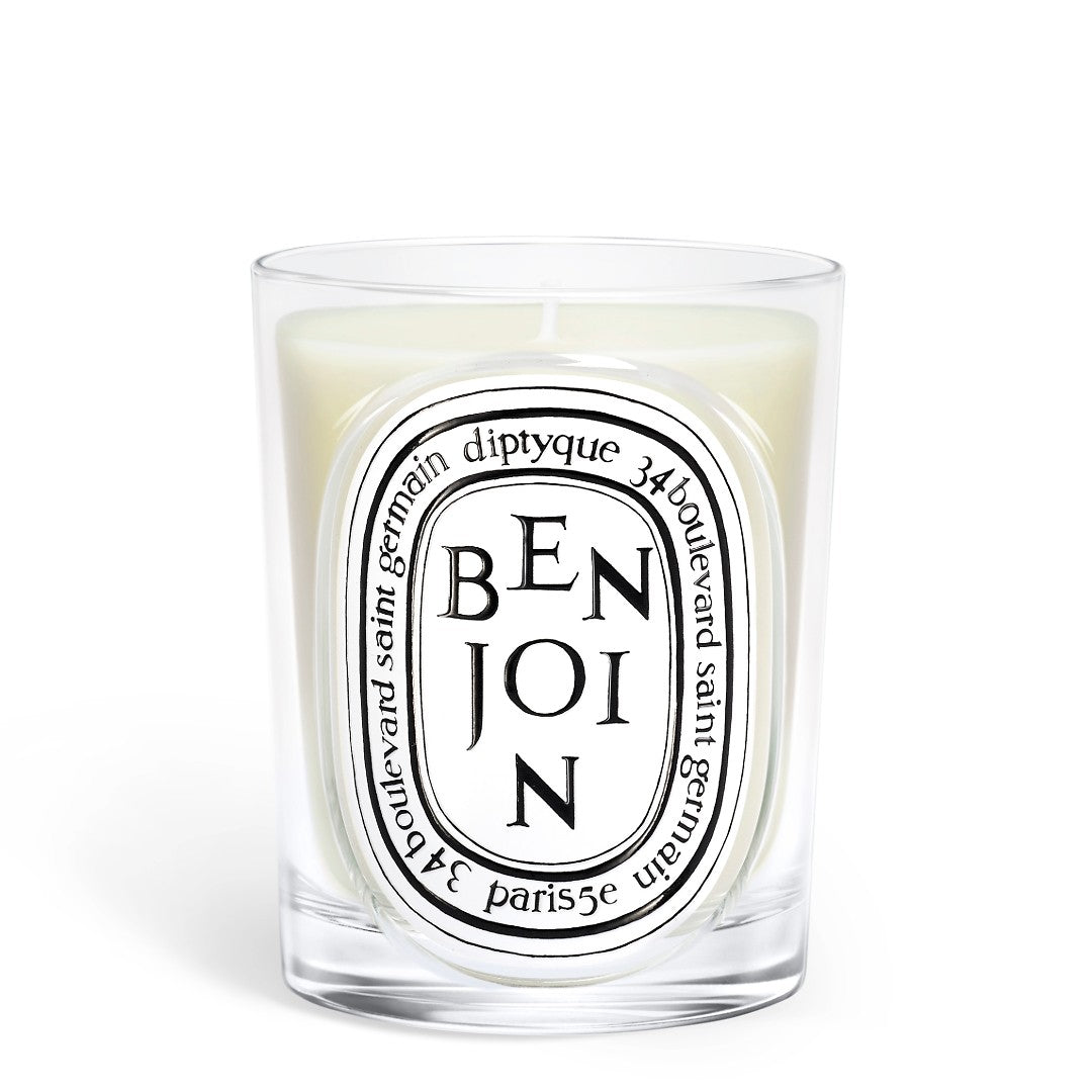 Diptyque Classic Candle Benjoin 190g