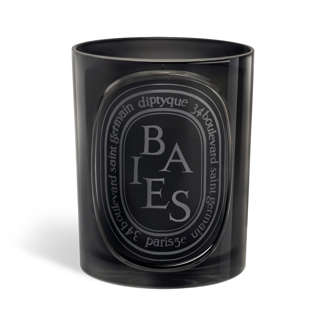 Diptyque Medium Candle Baies 300g