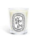 Diptyque Classic Candle Verveine 190g
