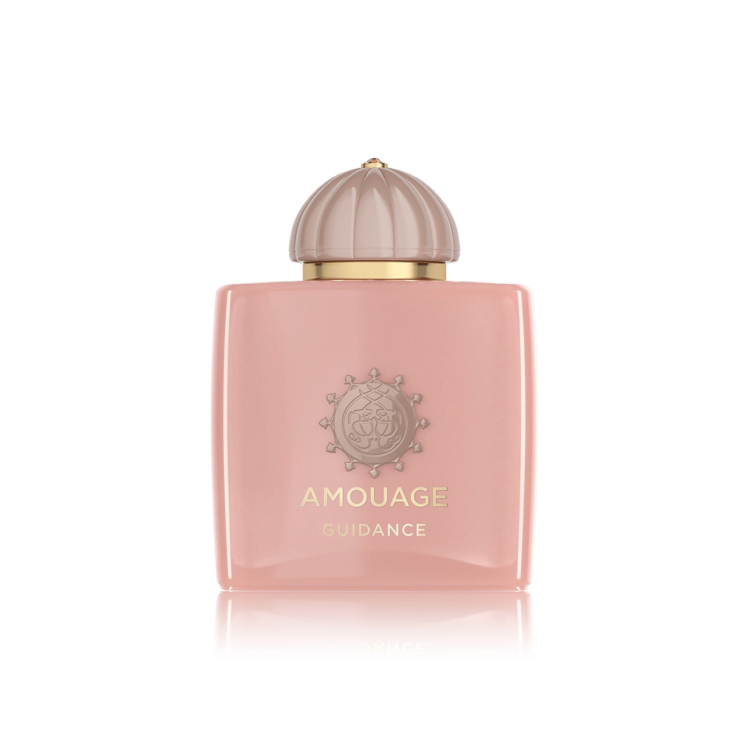 Amouage Guidance Edp 100ml