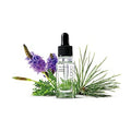 Addiction The Nail Oil Nordic Forest