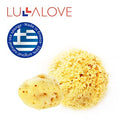 Lullalove Sponge King / Face Large