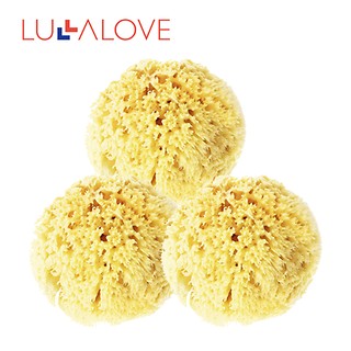 Lullalove 海綿王 3 件裝