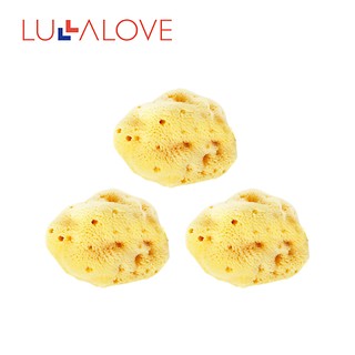 Lullalove 大潔面海綿 3 件裝