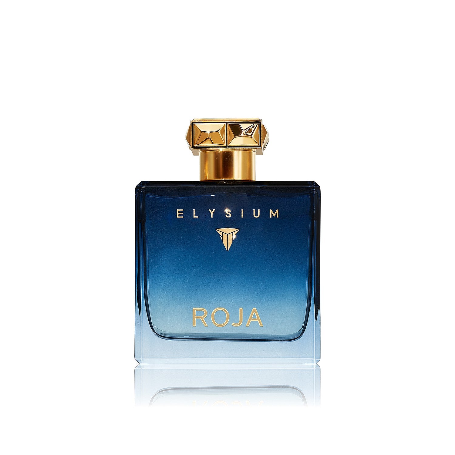 Roja Elysium Pour Homme Eau De Parfum 100ml
