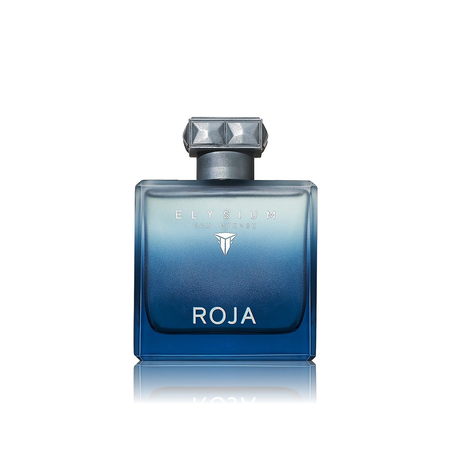 Roja Elysium Eau Intense Pour Homme Eau De Parfum 100ml