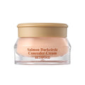 Skinfood Under Dark Circle Concealer #2(beige)(r24)