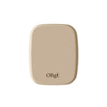 Obge Oil Control Finisher 5g