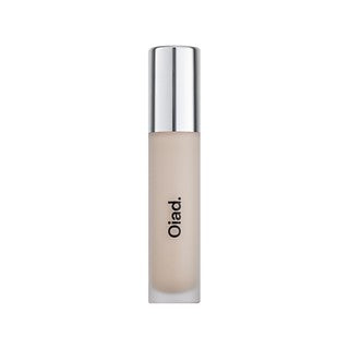 Oiad Cover Perfecting Mirror Brushed Concealer 19 Fair