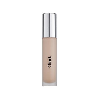 Oiad Cover Perfecting Mirror Brushed Concealer 22 Nude