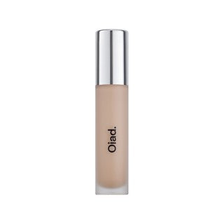 Oiad Cover Perfecting Mirror Brushed Concealer 23 Sand