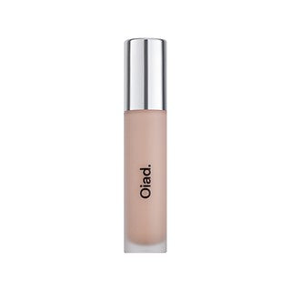 Oiad Cover Perfecting Mirror Brushed Concealer Dk Salmon